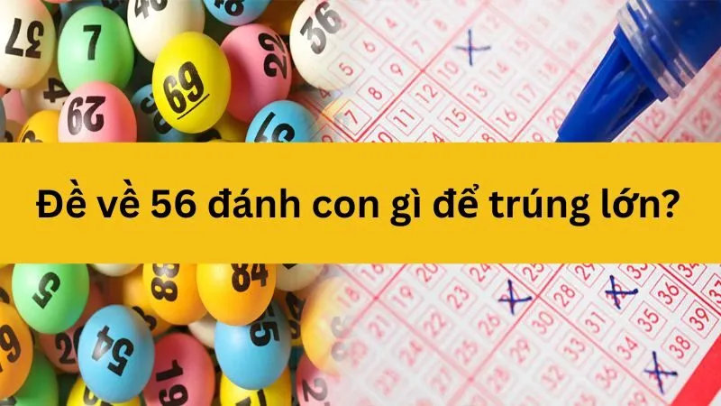 Tham khảo soi cầu 56 Loto188 trước khi đánh để tối ưu lợi nhuận