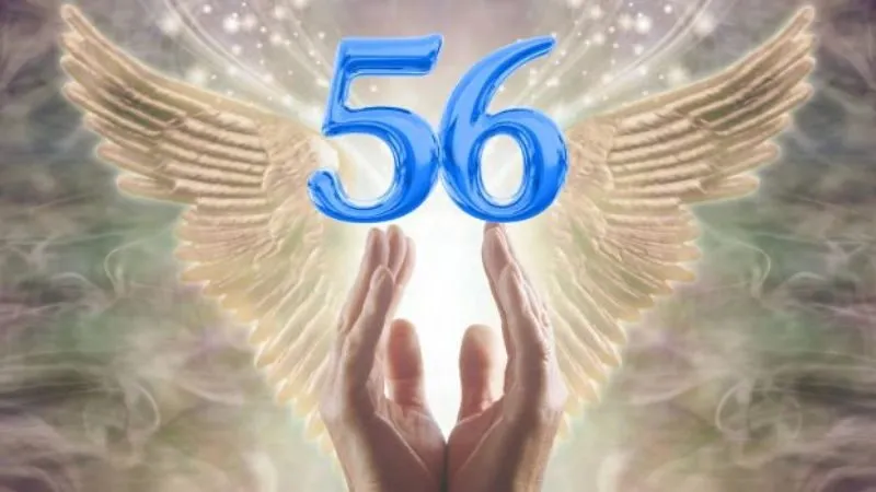 Con số 56 tượng trưng cho may mắn và tài lộc, mang năng lượng ổn định